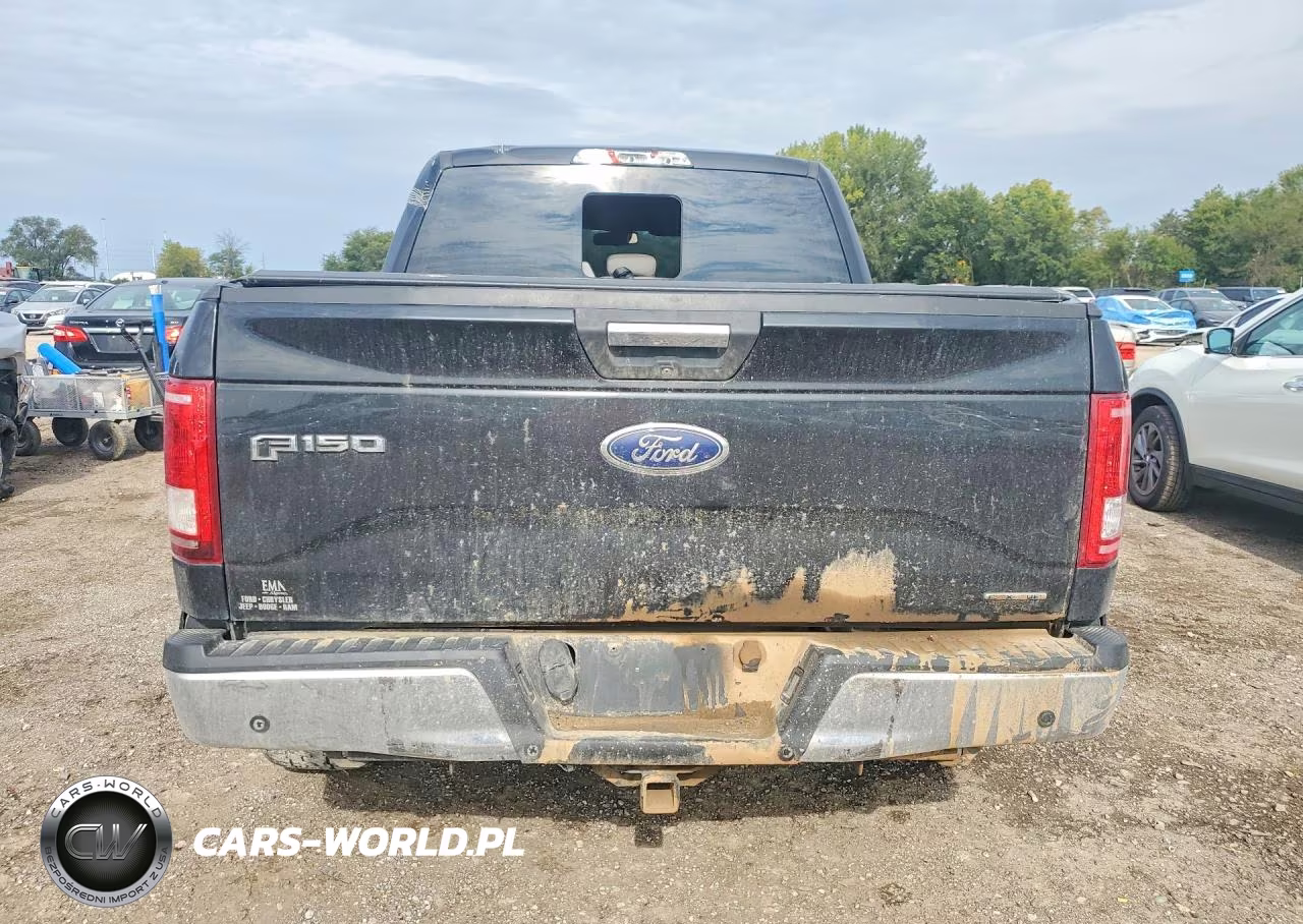 2015 Ford F150 Supercrew VIN:1FTEW1EF0FFA88495 - 6