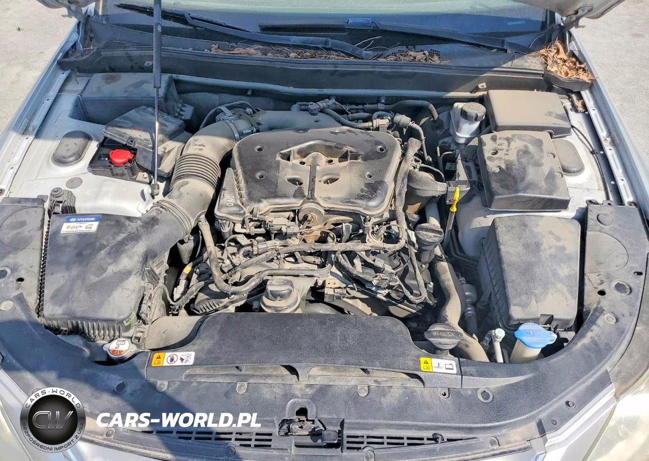 2013 Hyundai Genesis 3.8L VIN:KMHGC4DD2DU246794 - 11