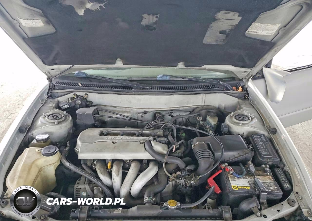 1999 Toyota Corolla Ve VIN:1NXBR12EXXZ142240 - 11
