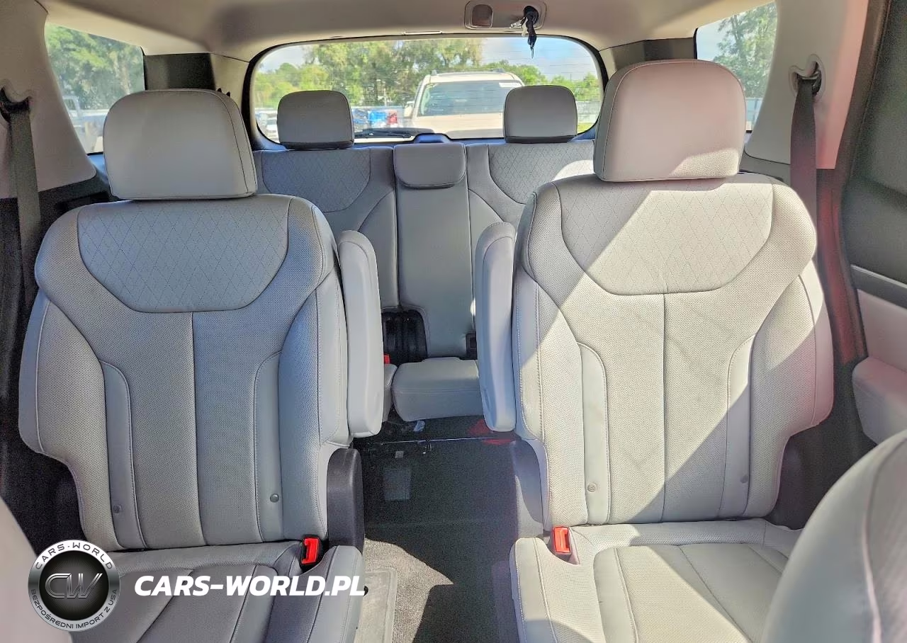 2020 Hyundai Palisade Sel VIN:KM8R44HE8LU097864 - 10