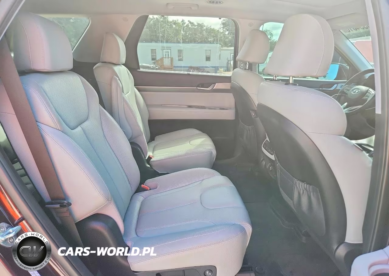 2020 Hyundai Palisade Sel VIN:KM8R44HE8LU097864 - 11