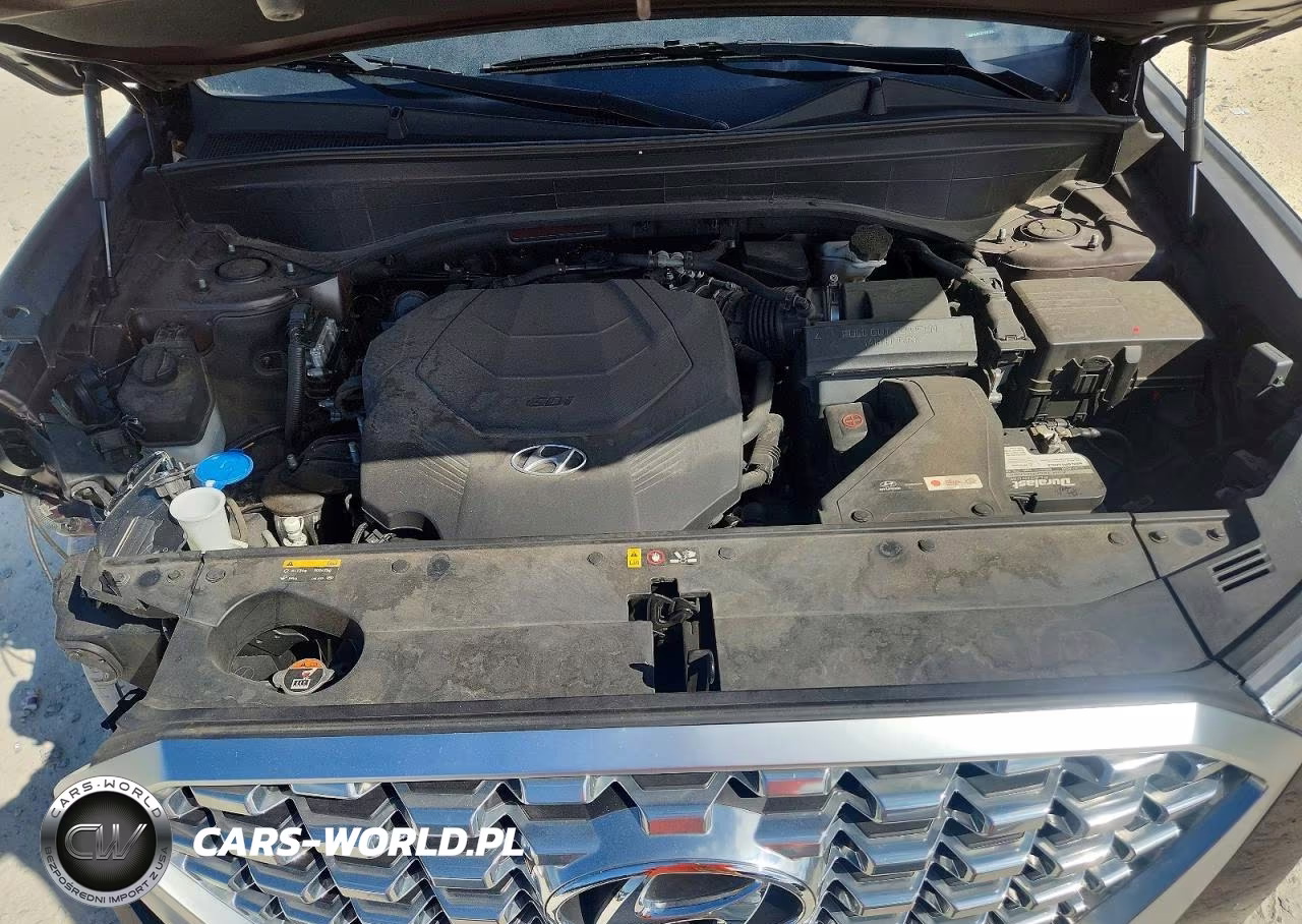 2020 Hyundai Palisade Sel VIN:KM8R44HE8LU097864 - 12