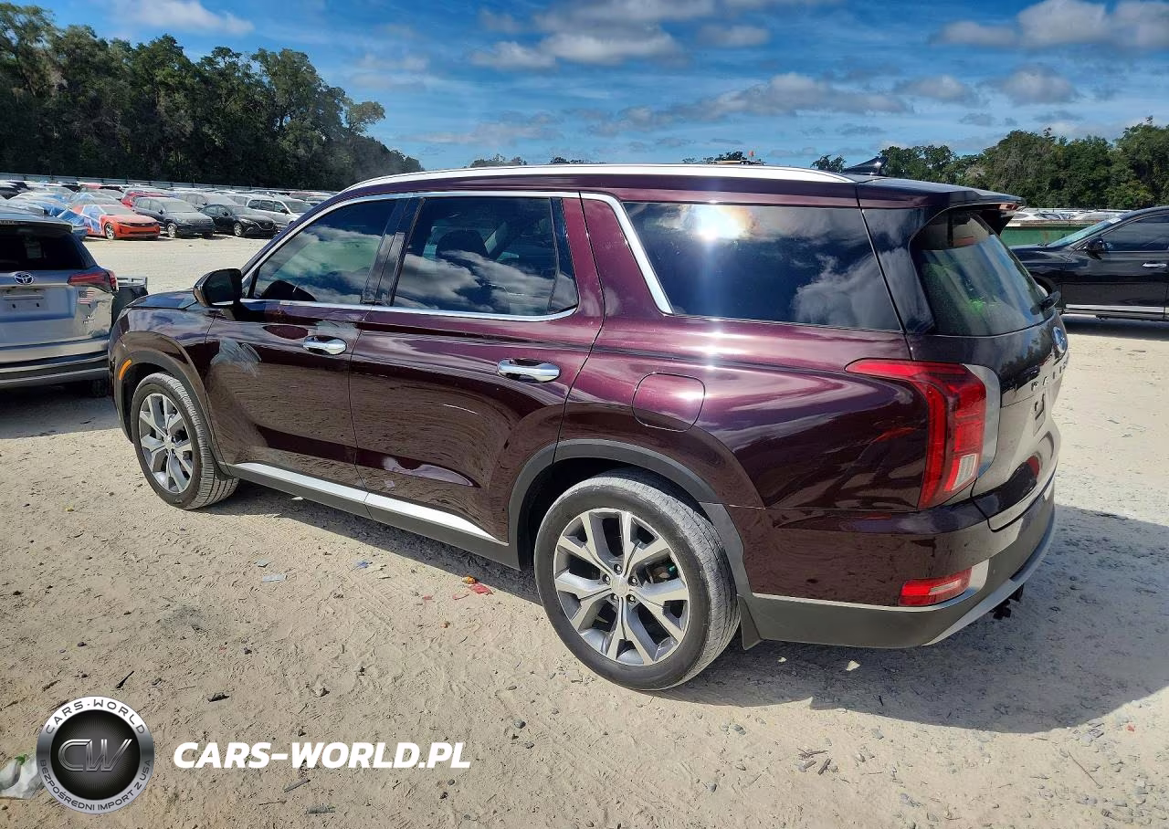 2020 Hyundai Palisade Sel VIN:KM8R44HE8LU097864 - 2