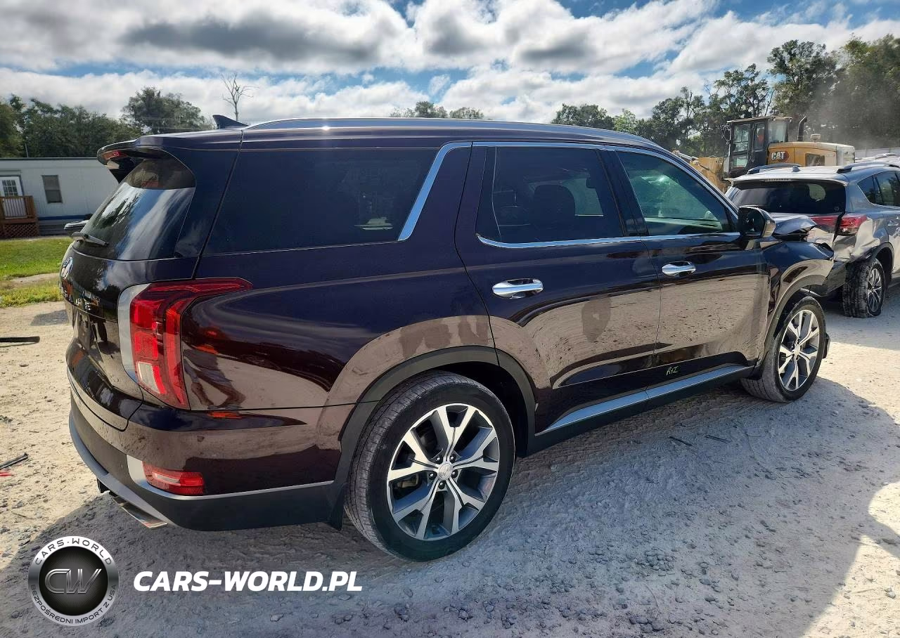 2020 Hyundai Palisade Sel VIN:KM8R44HE8LU097864 - 3