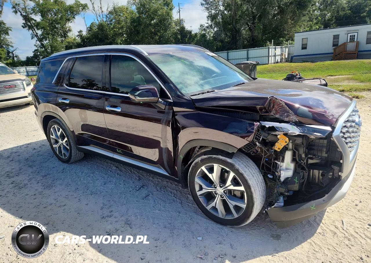 2020 Hyundai Palisade Sel VIN:KM8R44HE8LU097864 - 4