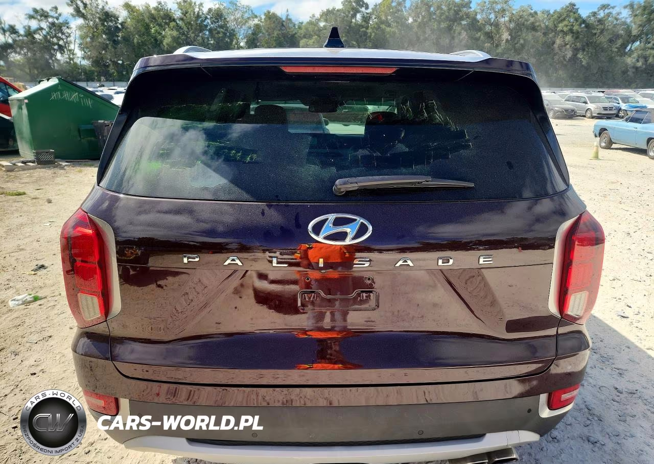 2020 Hyundai Palisade Sel VIN:KM8R44HE8LU097864 - 6