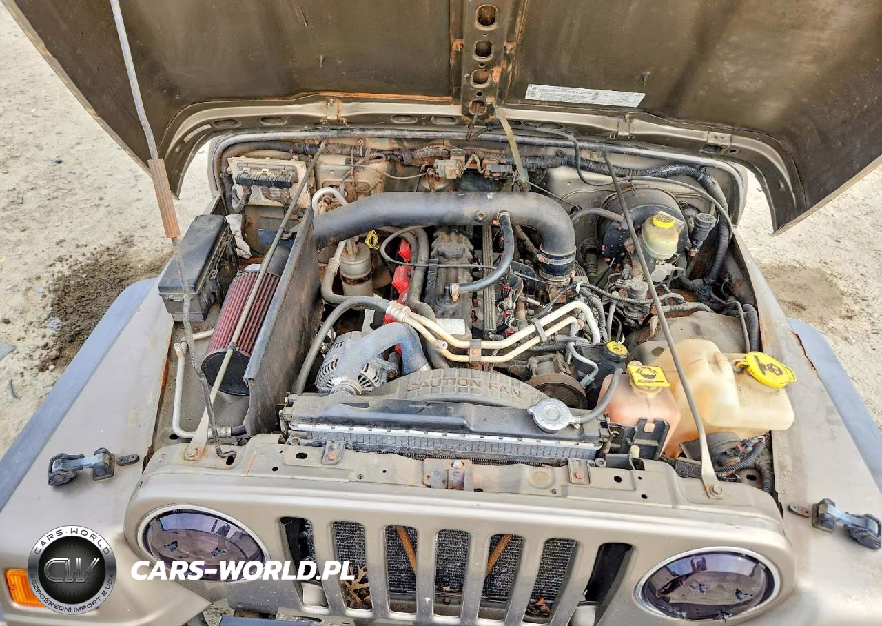 2003 Jeep Wrangler Commando VIN:1J4FA39S83P307533 - 12