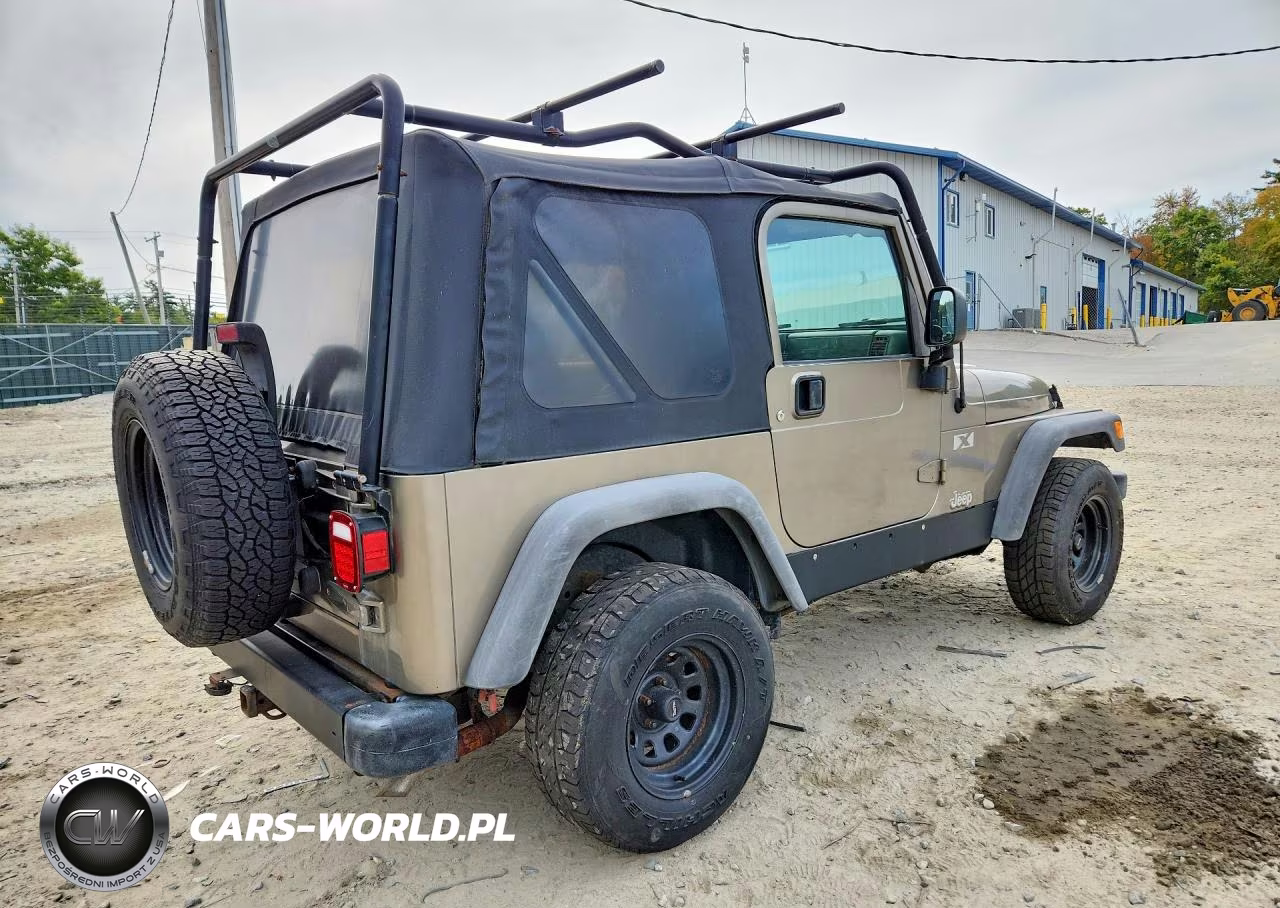 2003 Jeep Wrangler Commando VIN:1J4FA39S83P307533 - 3