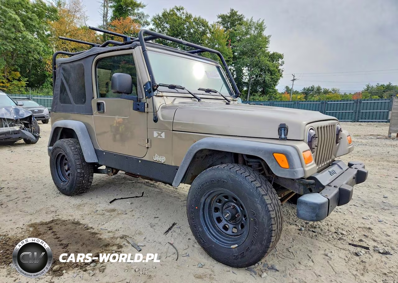 2003 Jeep Wrangler Commando VIN:1J4FA39S83P307533 - 4
