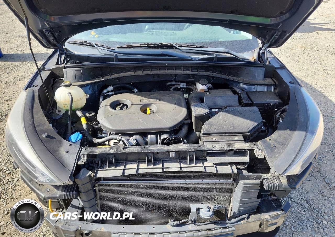 2019 Hyundai Tucson Value VIN:KM8J3CA47KU863318 - 12