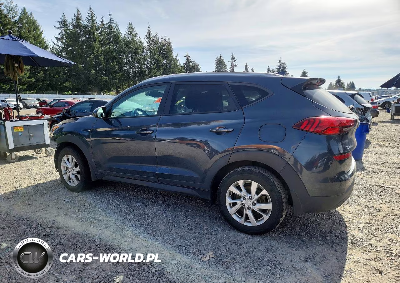 2019 Hyundai Tucson Value VIN:KM8J3CA47KU863318 - 2