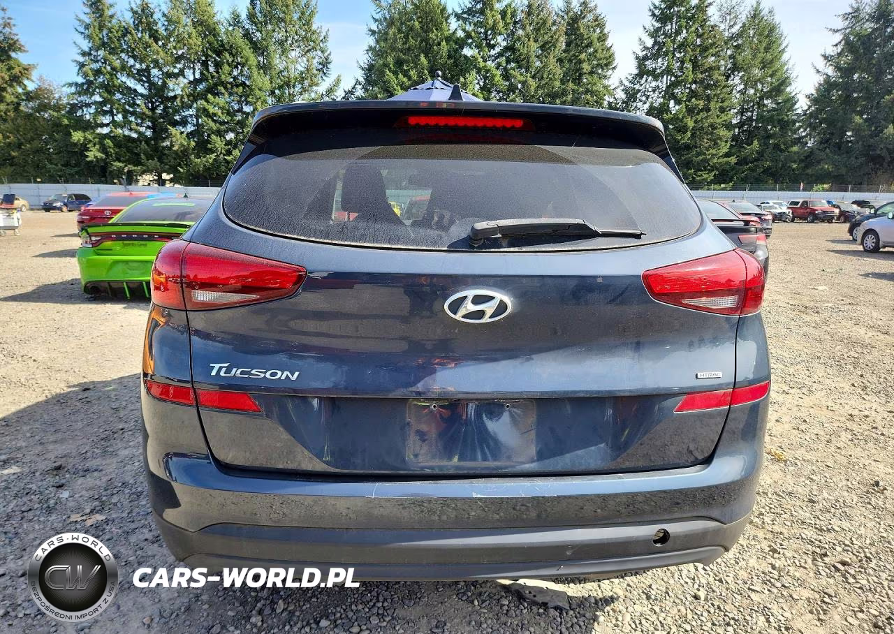 2019 Hyundai Tucson Value VIN:KM8J3CA47KU863318 - 6