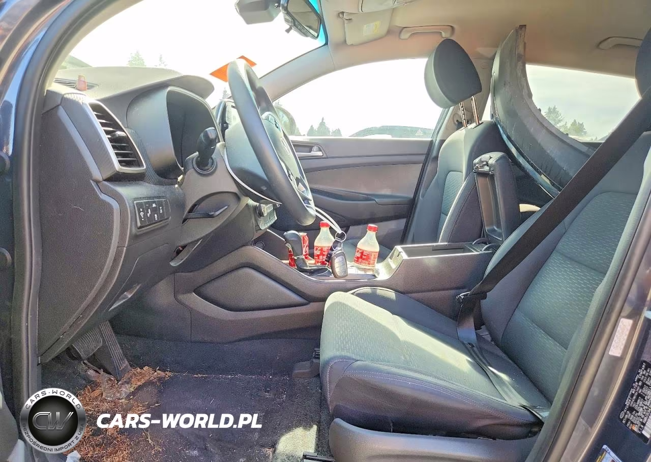 2019 Hyundai Tucson Value VIN:KM8J3CA47KU863318 - 7