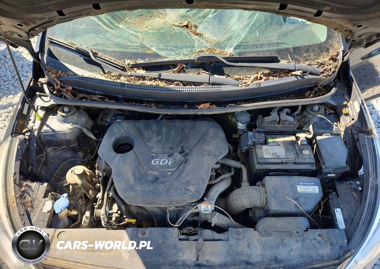 2017 Hyundai Accent Se VIN:KMHCT4AE8HU209797 - 11