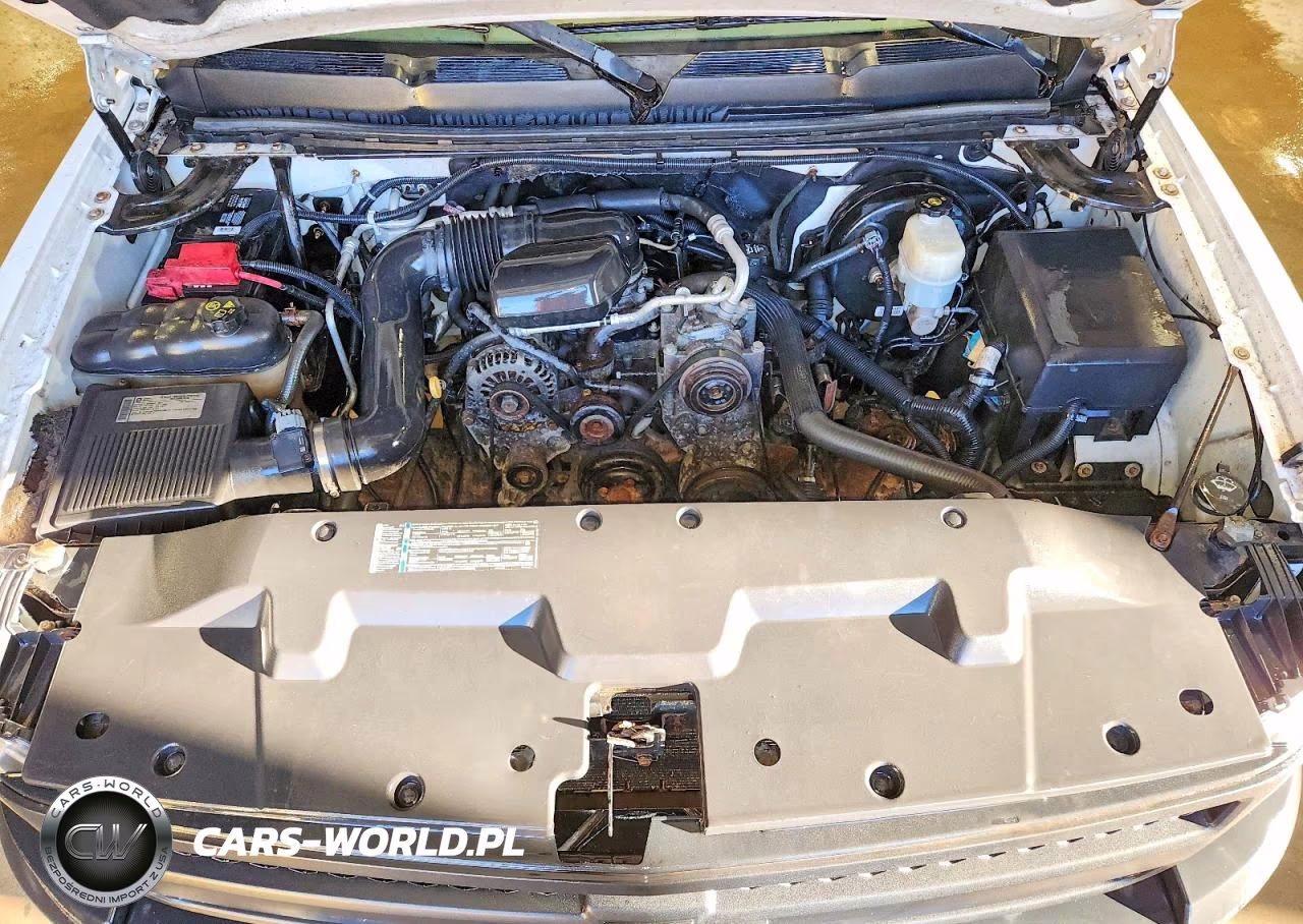 2011 Chevrolet Silverado C1500 VIN:1GCNCPEX9BZ145516 - 11