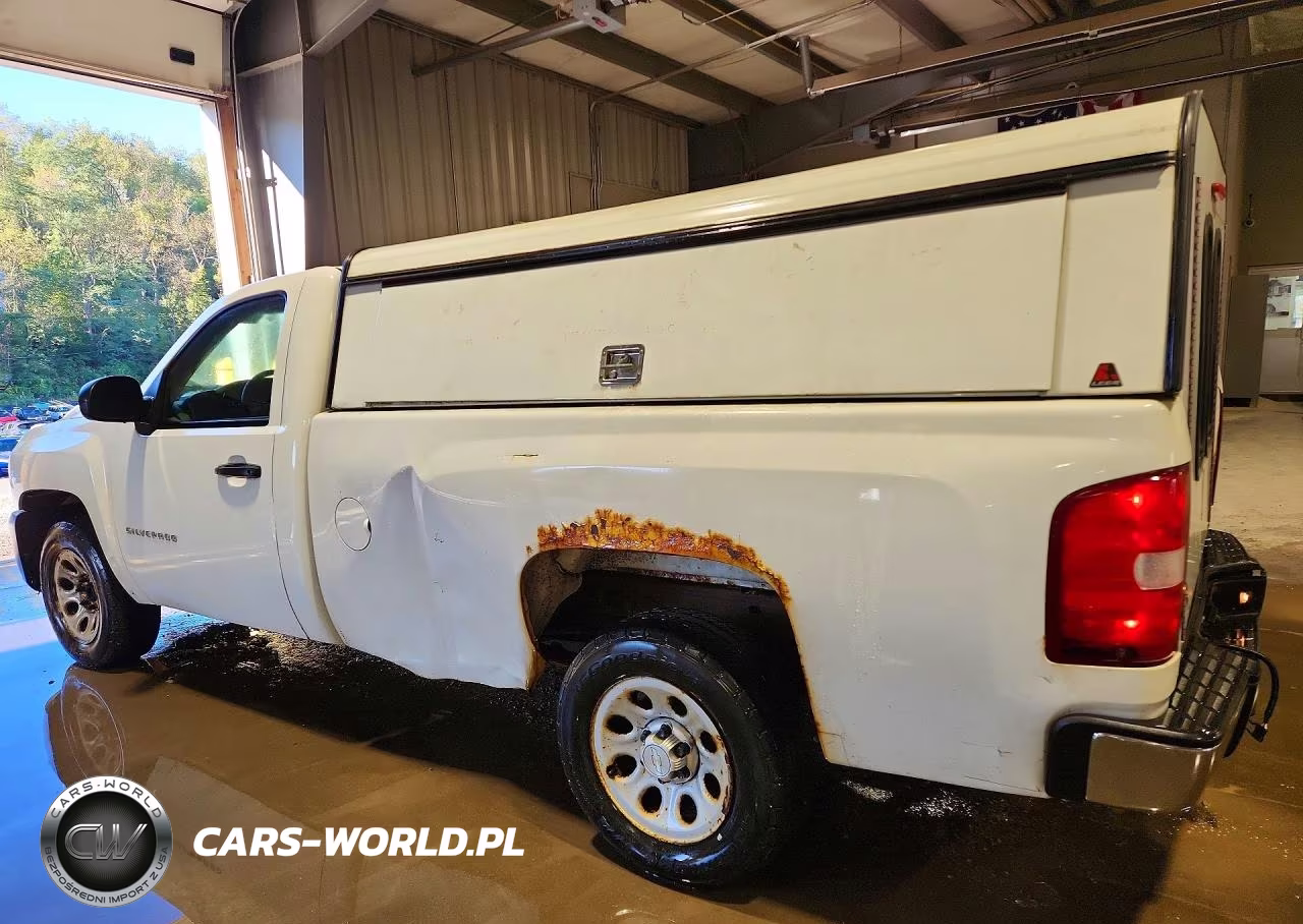 2011 Chevrolet Silverado C1500 VIN:1GCNCPEX9BZ145516 - 2