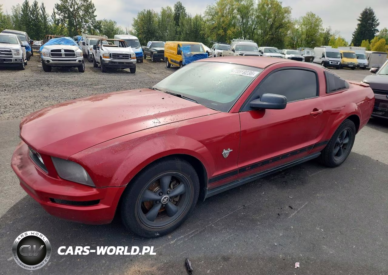 2009 Ford Mustang VIN:1ZVHT80N495111202 - 1