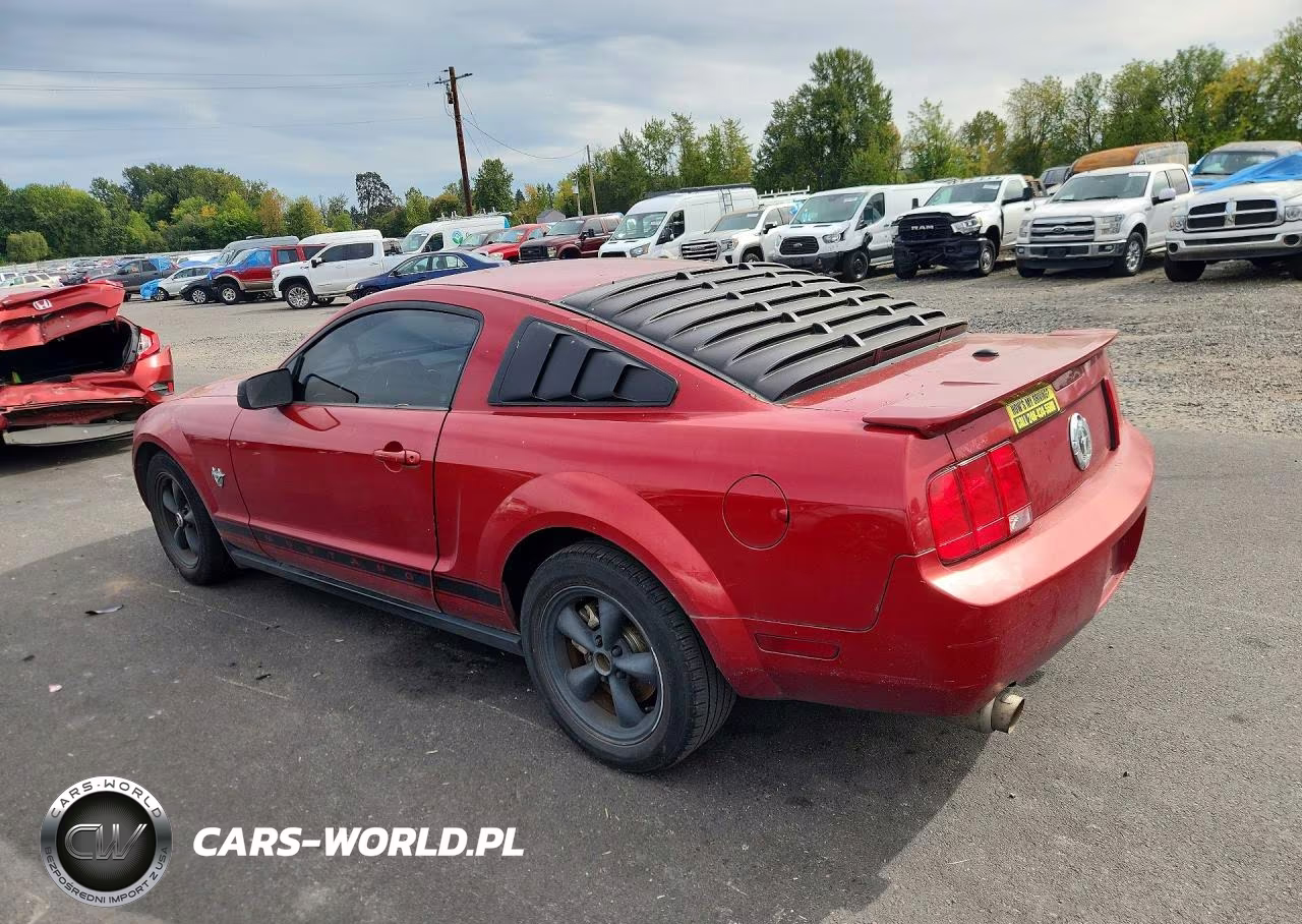 2009 Ford Mustang VIN:1ZVHT80N495111202 - 2