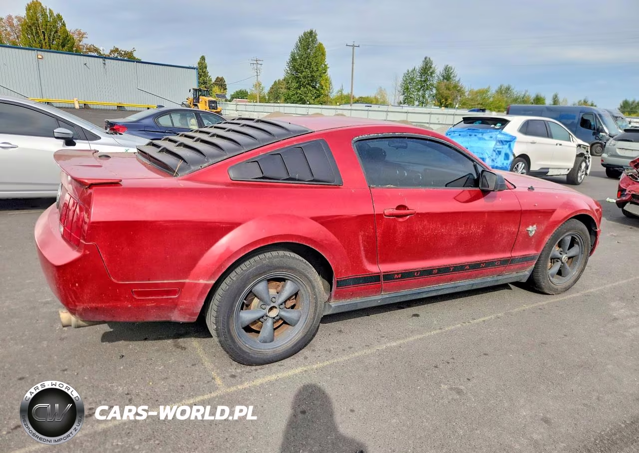 2009 Ford Mustang VIN:1ZVHT80N495111202 - 3