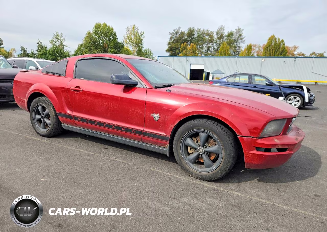 2009 Ford Mustang VIN:1ZVHT80N495111202 - 4