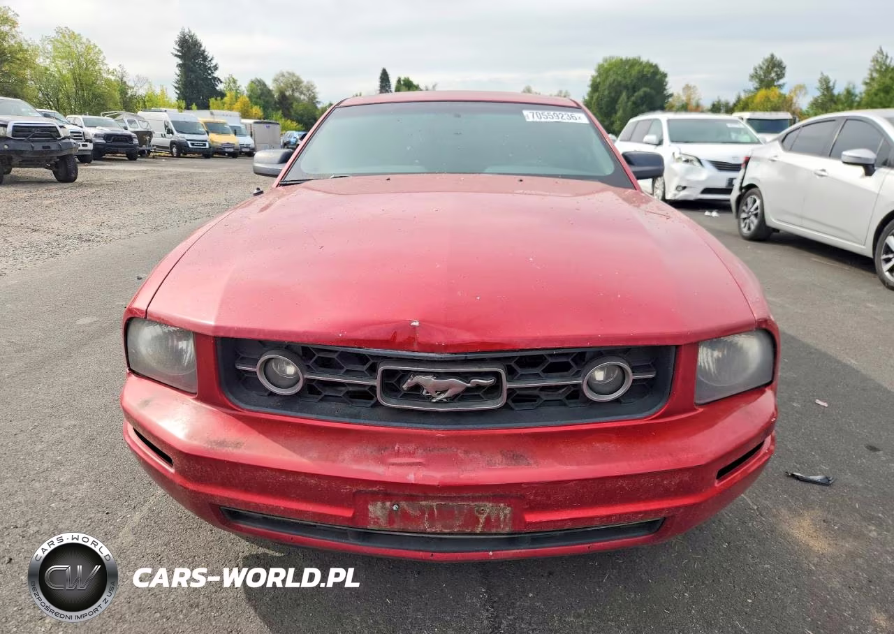 2009 Ford Mustang VIN:1ZVHT80N495111202 - 5
