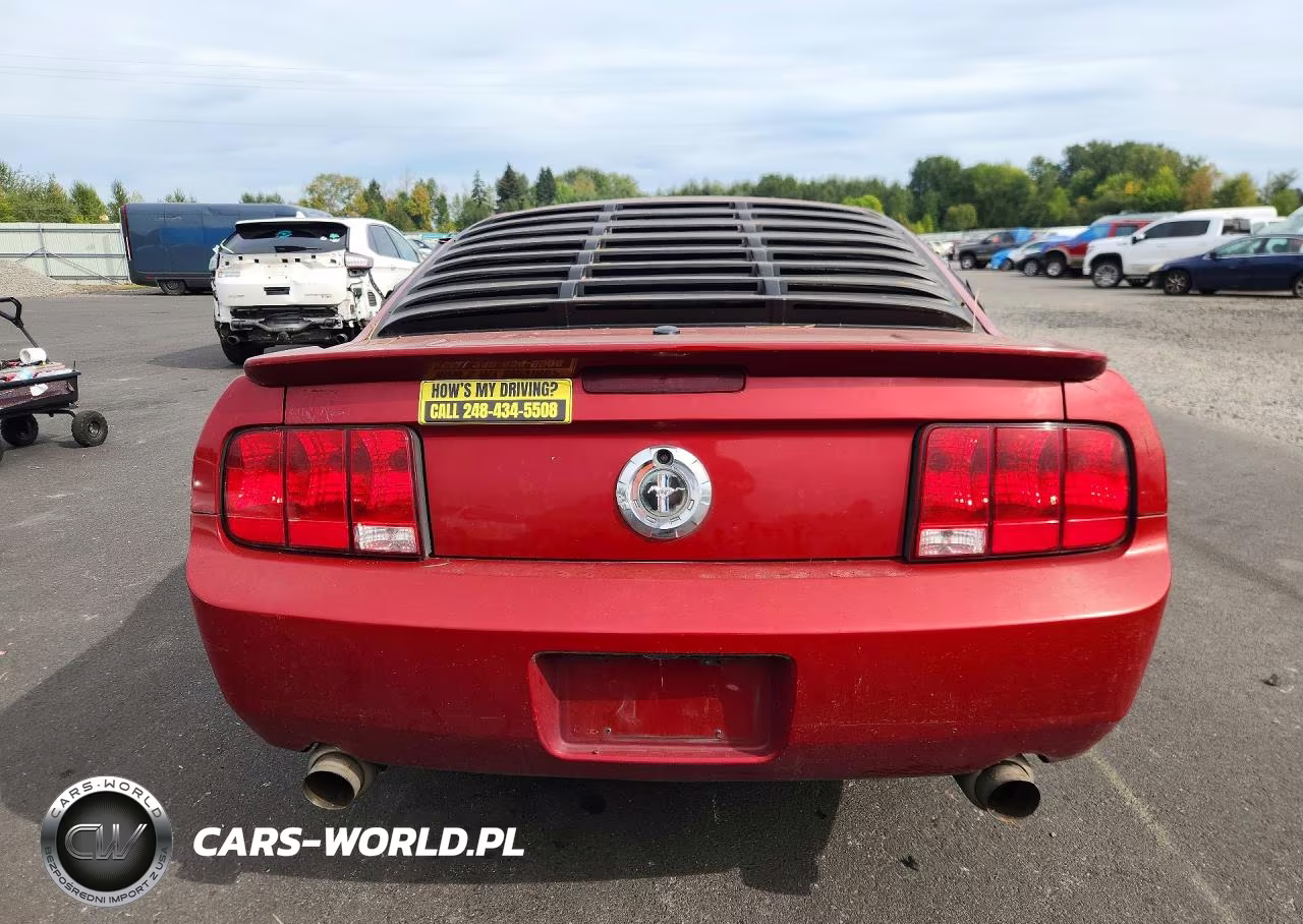 2009 Ford Mustang VIN:1ZVHT80N495111202 - 6