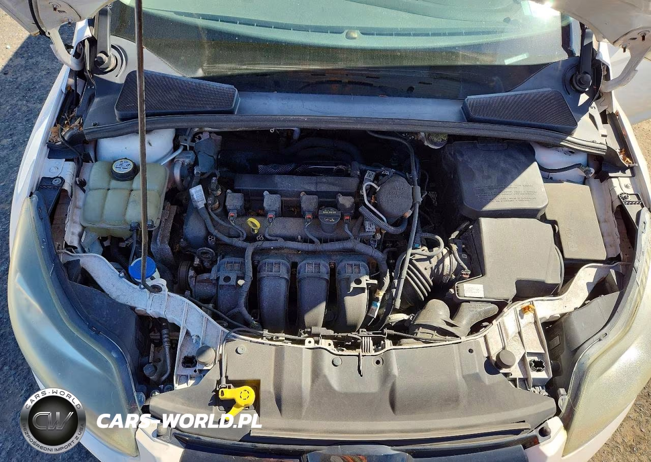 2013 Ford Focus Titanium VIN:1FADP3J28DL166985 - 11