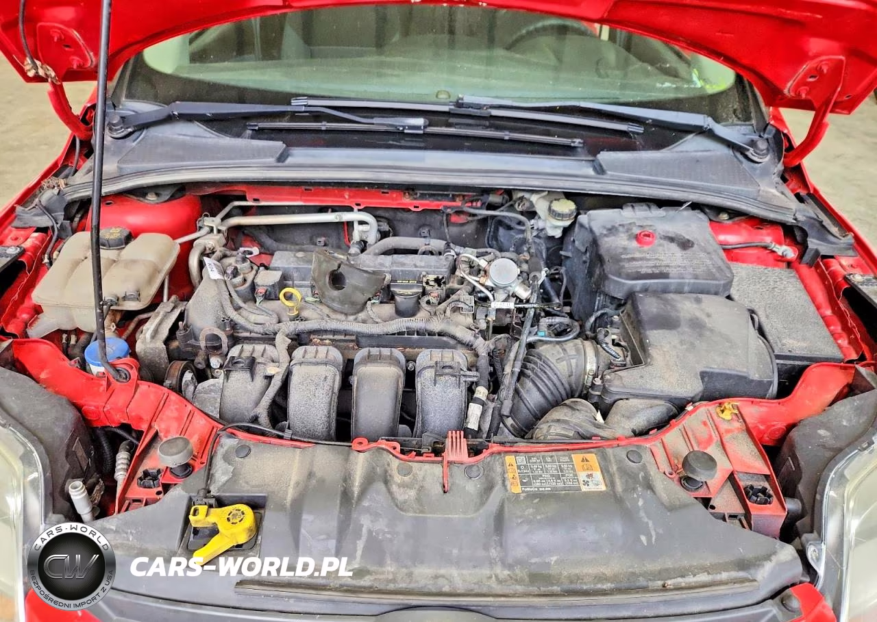 2014 Ford Focus Se VIN:1FADP3K26EL288258 - 11