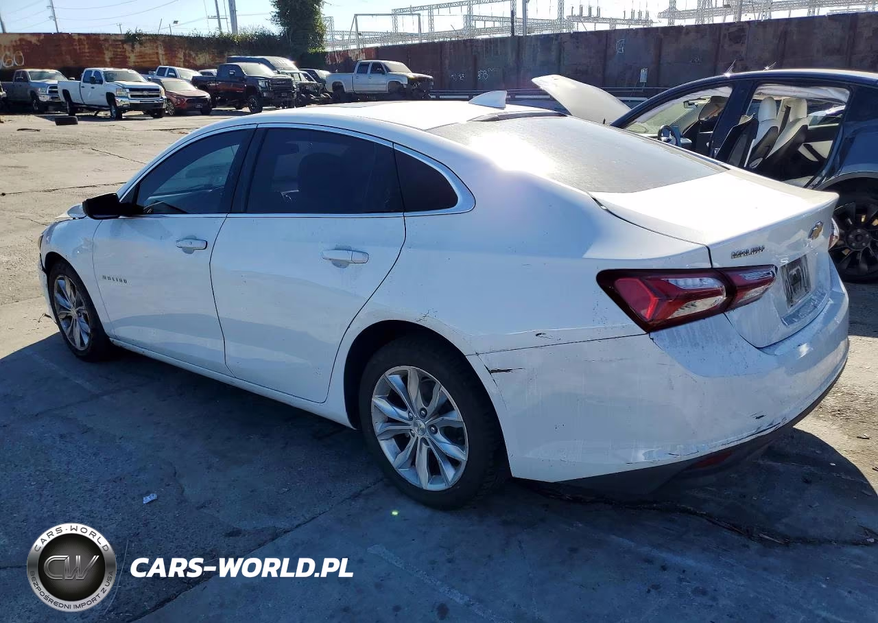 2019 Chevrolet Malibu Lt VIN:1G1ZD5ST9KF138192 - 2