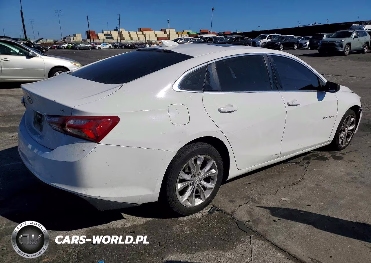 2019 Chevrolet Malibu Lt VIN:1G1ZD5ST9KF138192 - 3