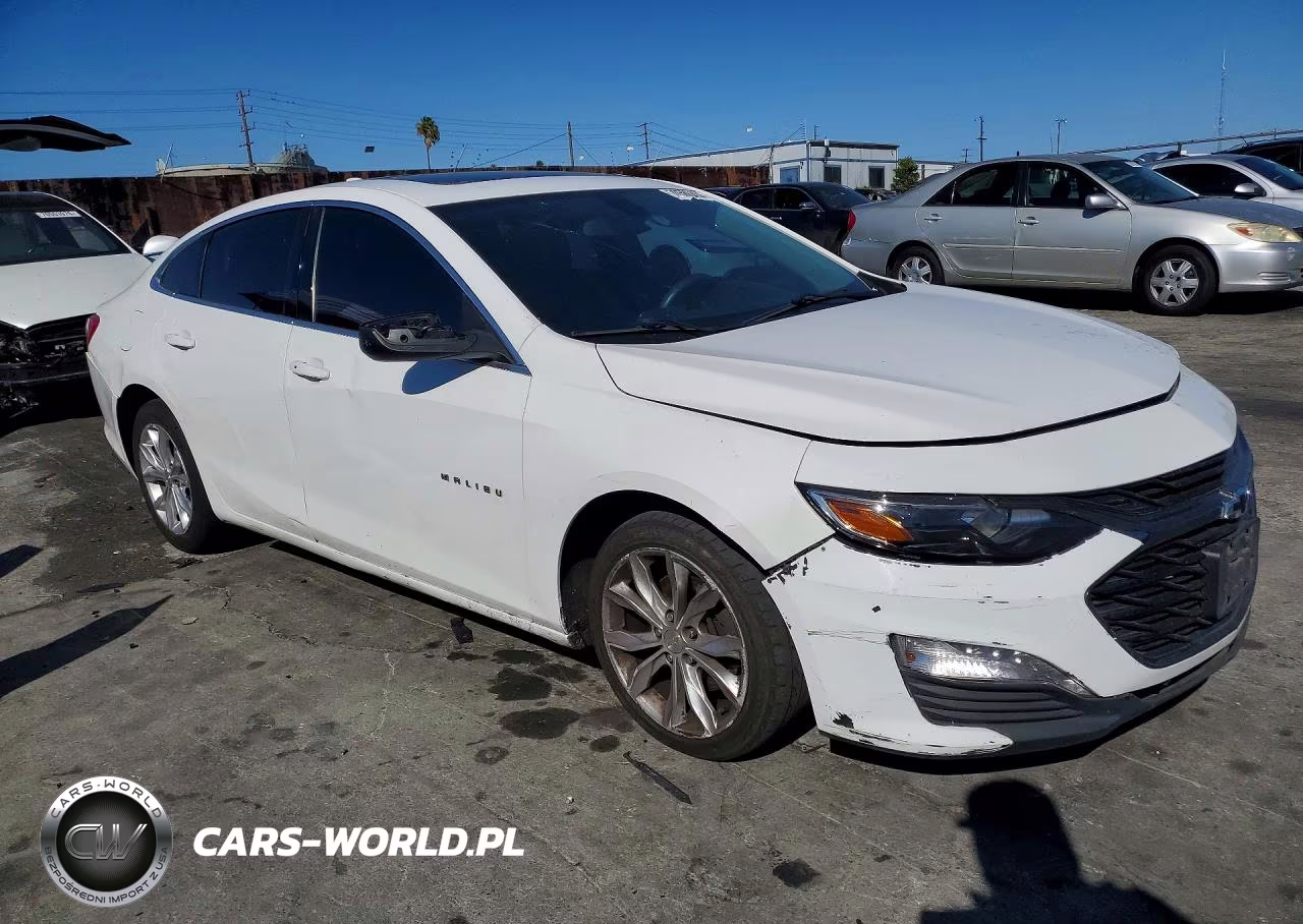 2019 Chevrolet Malibu Lt VIN:1G1ZD5ST9KF138192 - 4