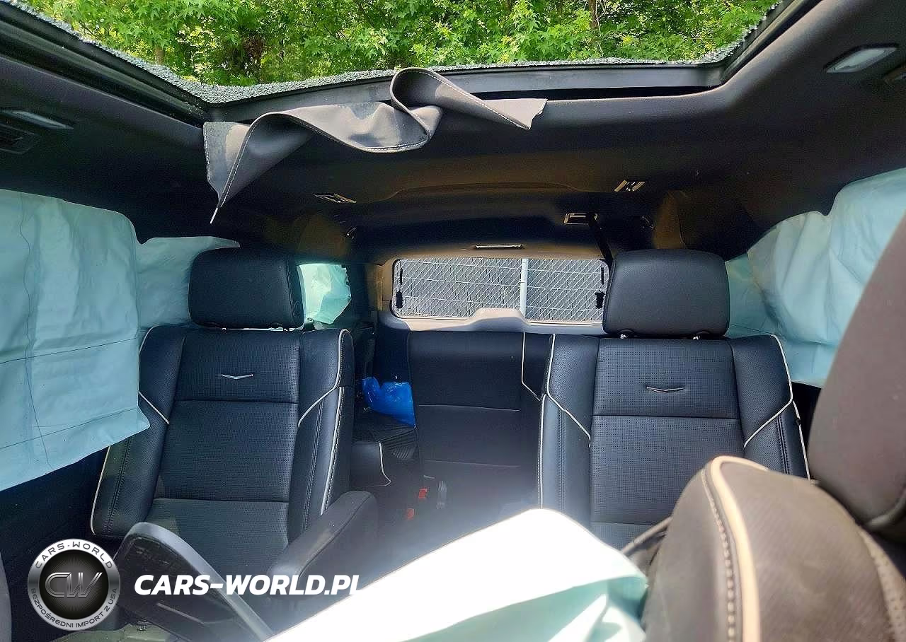 2024 Cadillac Escalade Esv Premium Luxury VIN:1GYS4KKL9RR368521 - 10