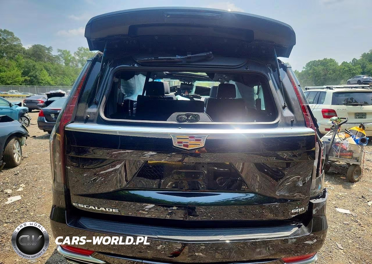 2024 Cadillac Escalade Esv Premium Luxury VIN:1GYS4KKL9RR368521 - 6