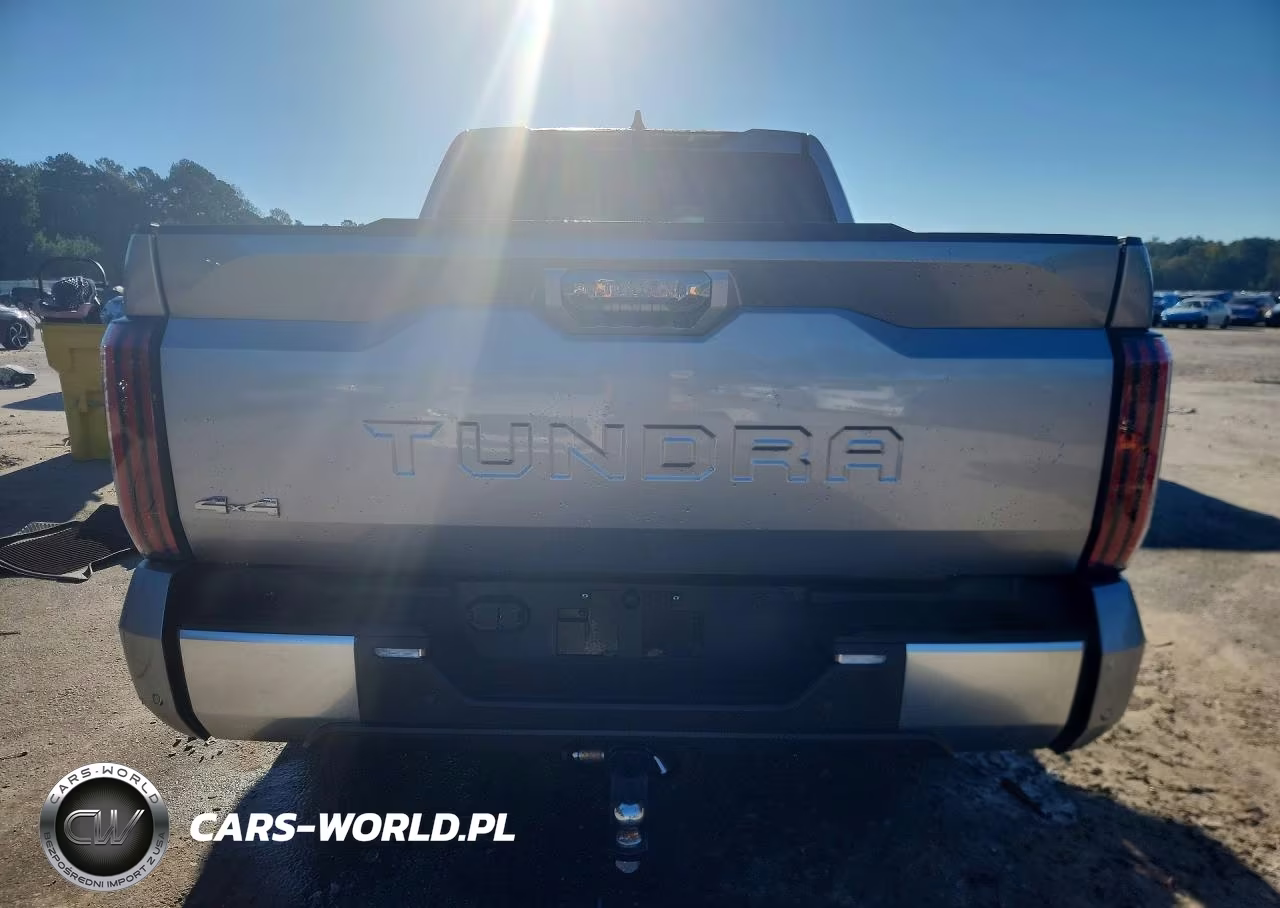 2024 Toyota Tundra Limited Hv VIN:5TFJC5DB9RX050744 - 6