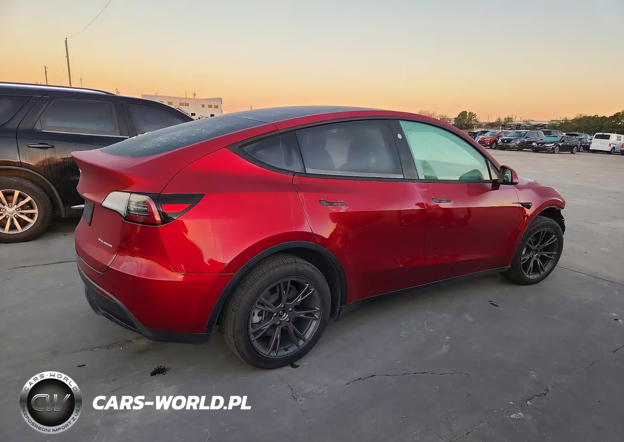 2025 Tesla Model Y VIN:7SAYGDEE4SA369460 - 3