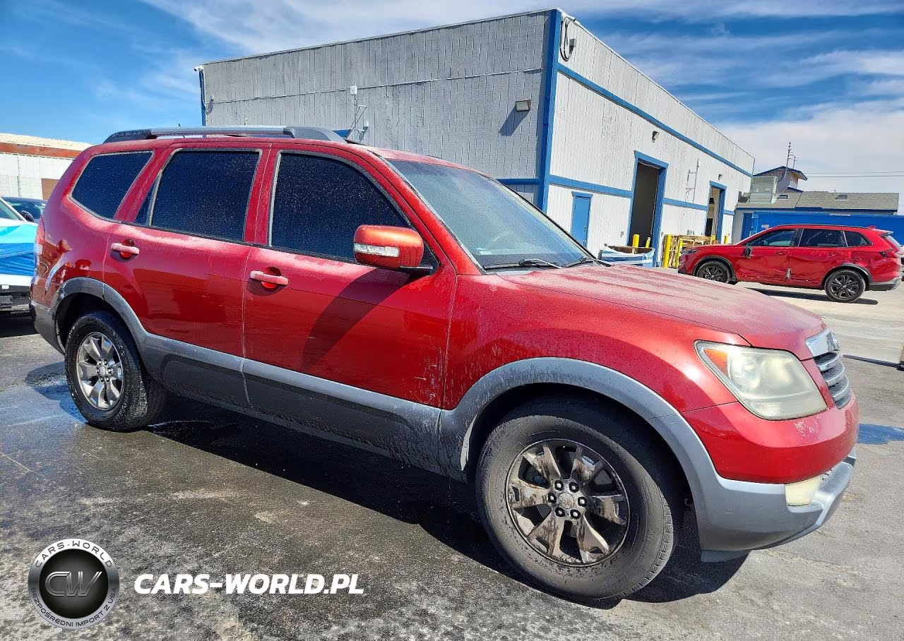 2009 Kia Borrego Lx VIN:KNDJJ741485008601 - 4