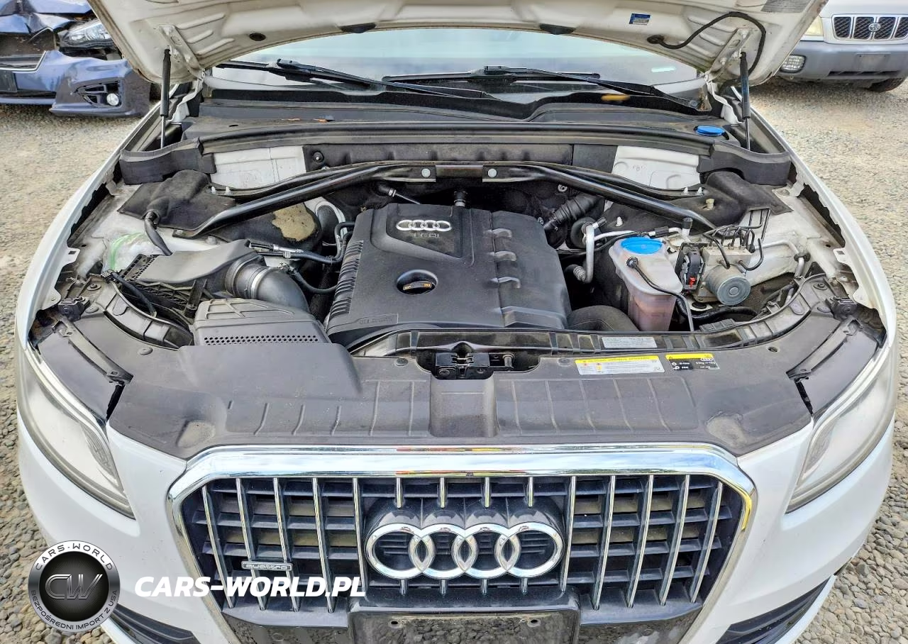 2013 Audi Q5 Premium Plus VIN:WA1LFAFP6DA100779 - 12