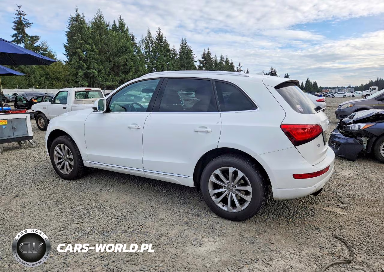 2013 Audi Q5 Premium Plus VIN:WA1LFAFP6DA100779 - 2