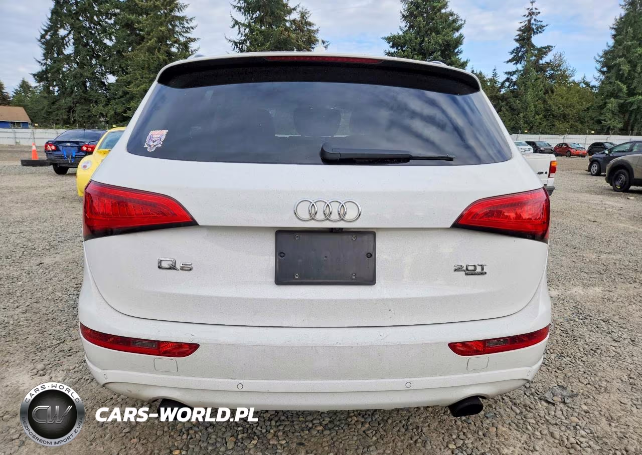 2013 Audi Q5 Premium Plus VIN:WA1LFAFP6DA100779 - 6