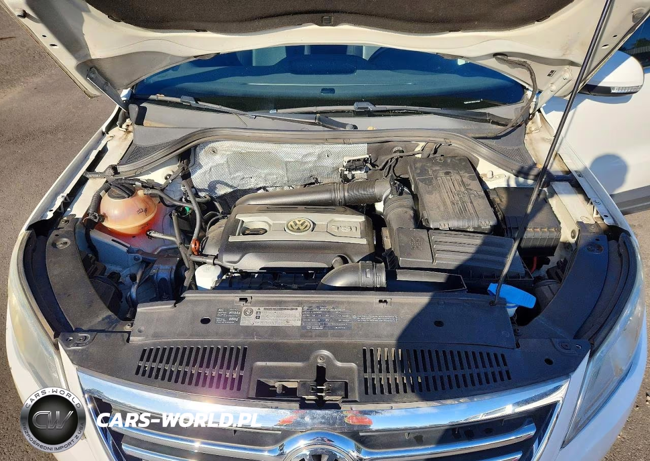 2011 Volkswagen Tiguan S VIN:WVGBV7AX1BW518788 - 11