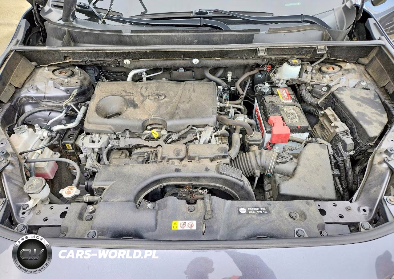 2019 Toyota Rav4 Le VIN:JTMF1RFV8KD502894 - 12