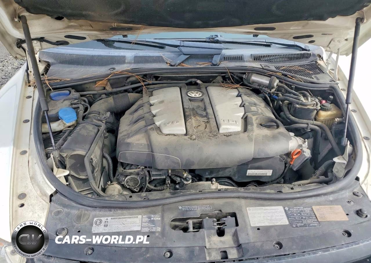 2010 Volkswagen Touareg Tdi VIN:WVGAK7A93AD003419 - 12