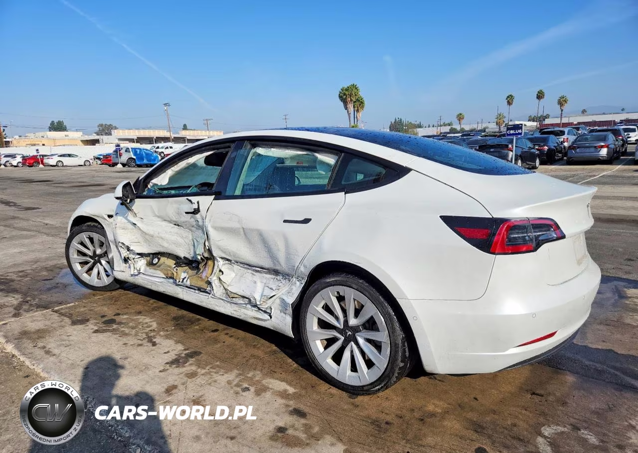 2022 Tesla Model 3 VIN:5YJ3E1EAXNF304550 - 2