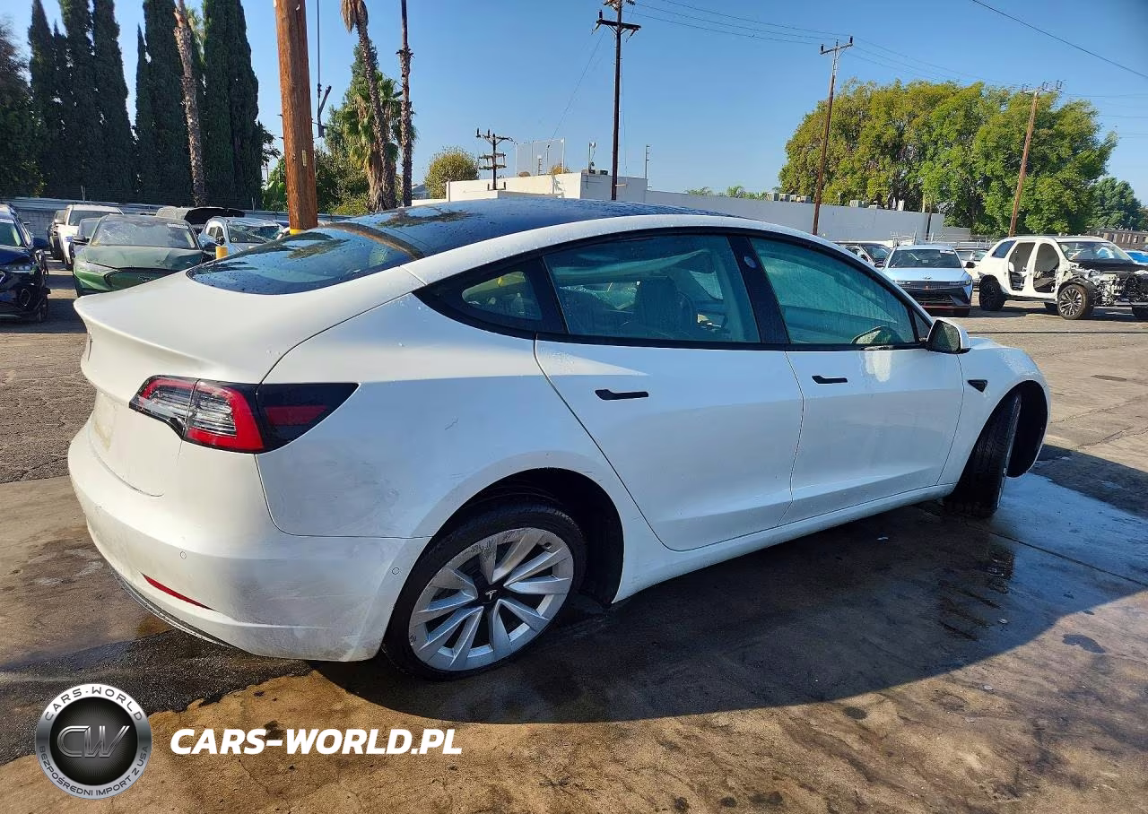 2022 Tesla Model 3 VIN:5YJ3E1EAXNF304550 - 3