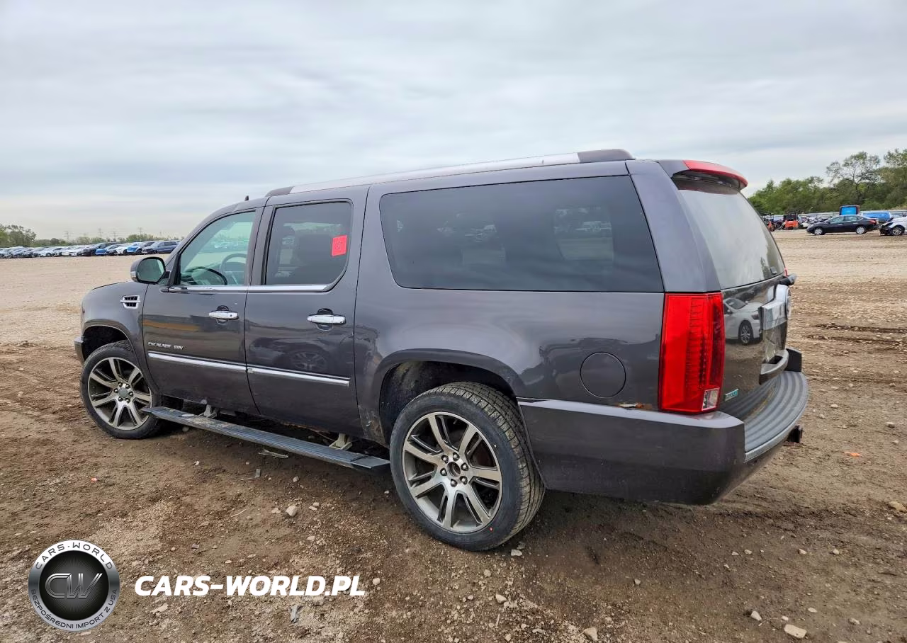 2010 Cadillac Escalade Esv Premium VIN:1GYUKJEF0AR209891 - 2