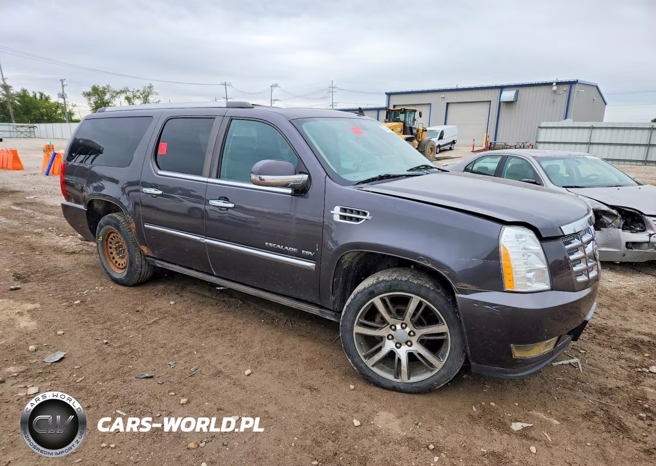 2010 Cadillac Escalade Esv Premium VIN:1GYUKJEF0AR209891 - 4
