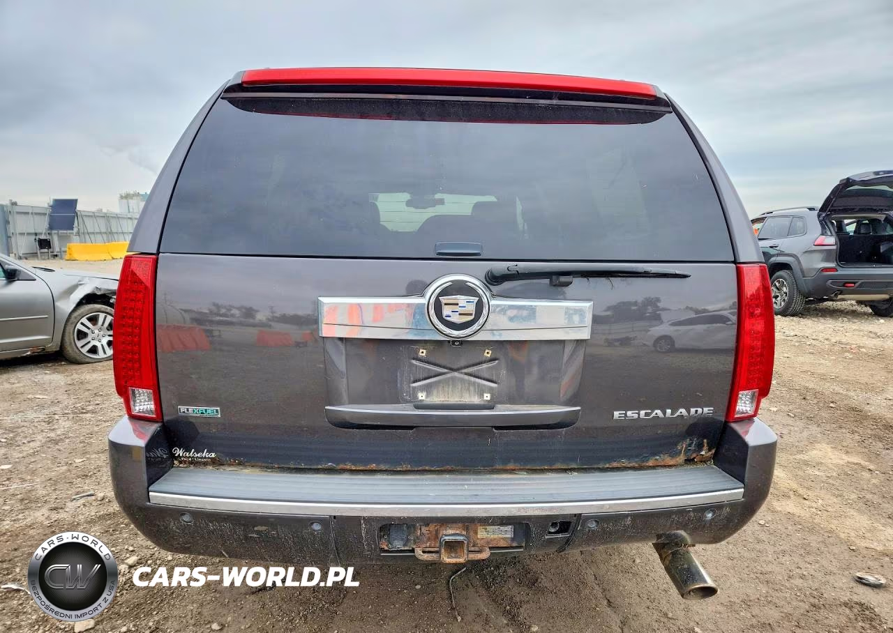 2010 Cadillac Escalade Esv Premium VIN:1GYUKJEF0AR209891 - 6