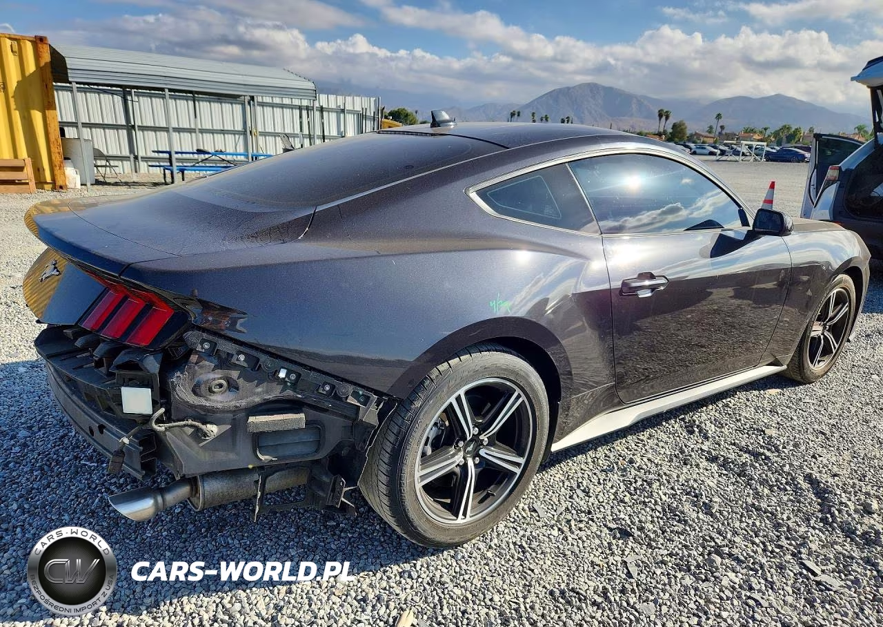 2024 Ford Mustang VIN:1FA6P8THXR5143954 - 3