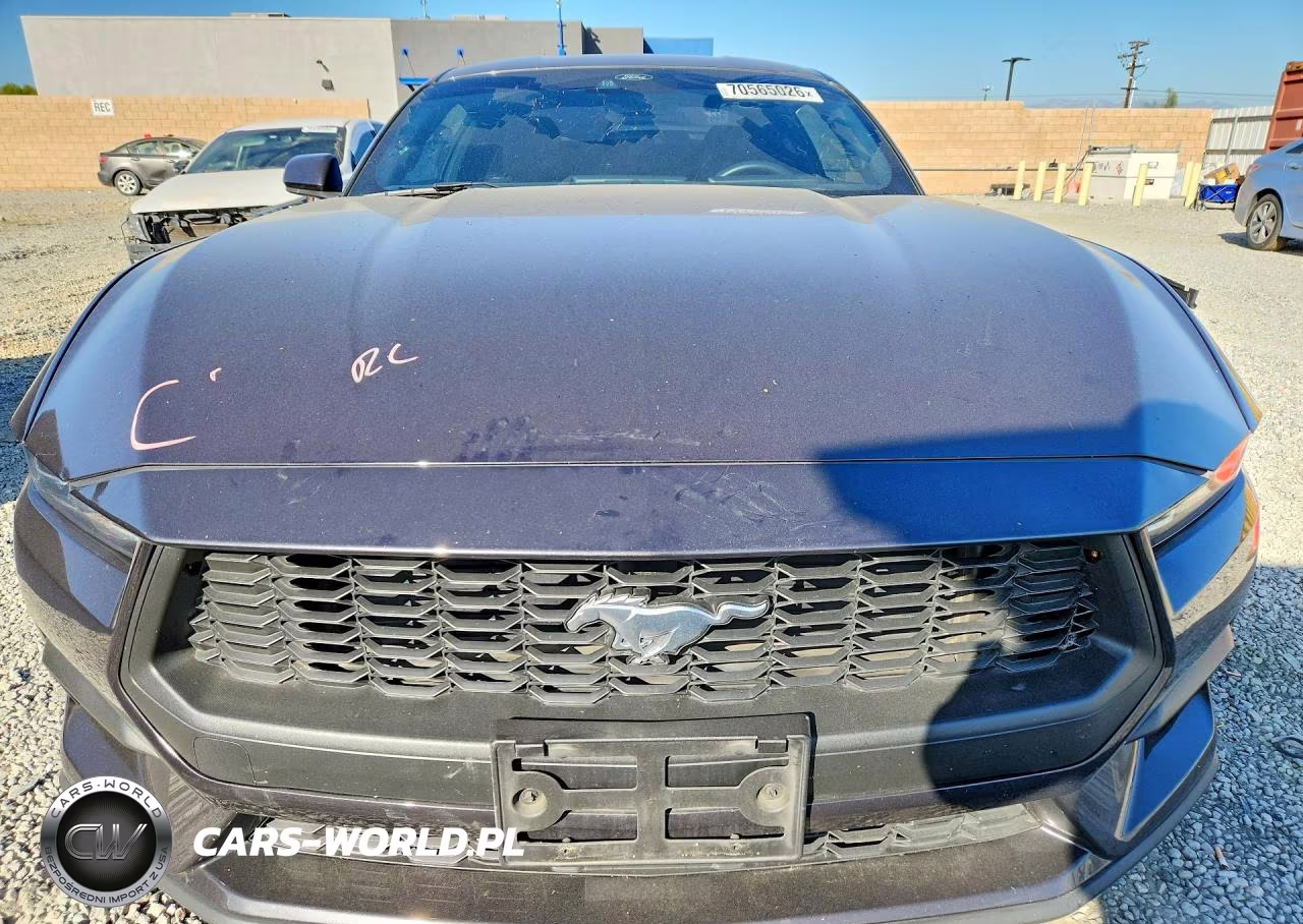 2024 Ford Mustang VIN:1FA6P8THXR5143954 - 5