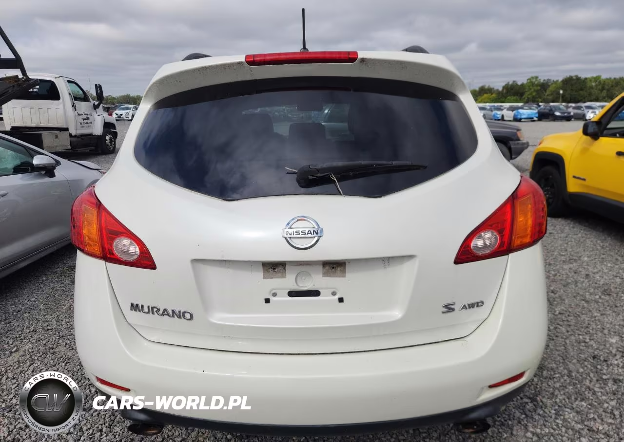 2009 Nissan Murano S VIN:JN8AZ18W19W206631 - 6